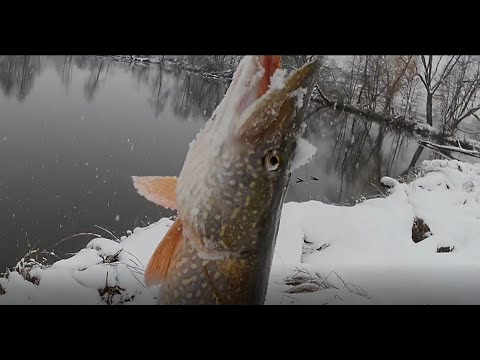 Видео: РЫБАЛКА на ЩУКУ в первый снег. ОБНОВИЛ рекорд по ЩУКЕ.