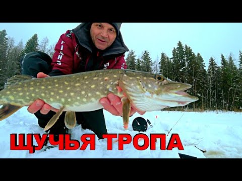 Видео: РЫБАК НАШЁЛ ЩУЧЬЮ ТРОПУ И ОБАЛДЕЛ! УДАЧНАЯ РЫБАЛКА В ГЛУХОЗИМЬЕ НА ЖЕРЛИЦЫ И МОРМЫШКУ