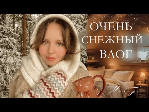 Видео: Уютный ноябрь ❄️| учеба, вечер с мужем, лес, тихая жизнь