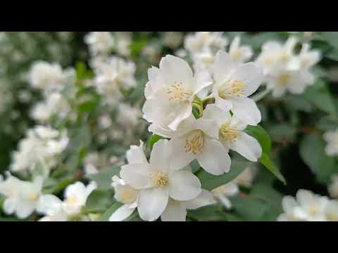 Видео: ТВВАУЛ Часть 3