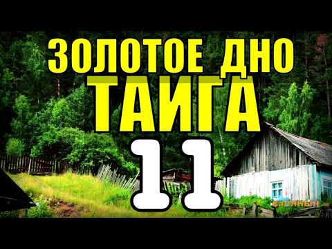 Видео: 20 ЛЕТ В ТАЙГЕ | СЛУЧАЙ В ЛЕСУ | ПОИСКИ ЧЕЛОВЕКА | ПРОПАВШИЕ ЛЮДИ 11