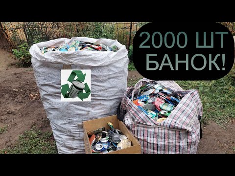 Видео: СКОЛЬКО МОЖНО ЗАРАБОТАТЬ СДАВ 2000 ШТ АЛЮМИНИЕВЫХ БАНОК В КАЗАХСТАНЕ? ГОРОД АЛМАТЫ!