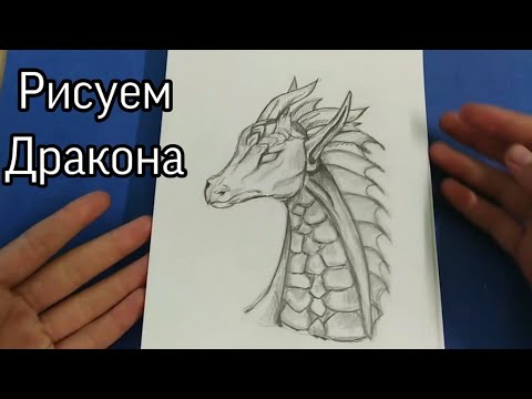 Видео: Как нарисовать дракона легко