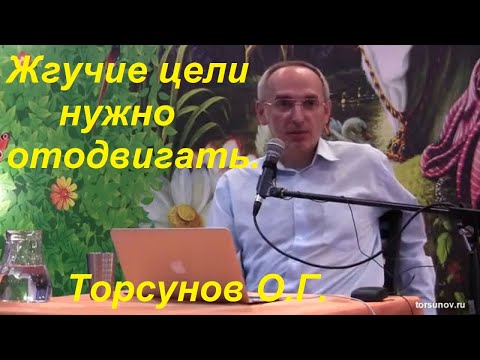 Видео: Жгучие цели нужно отодвигать. Торсунов О.Г.