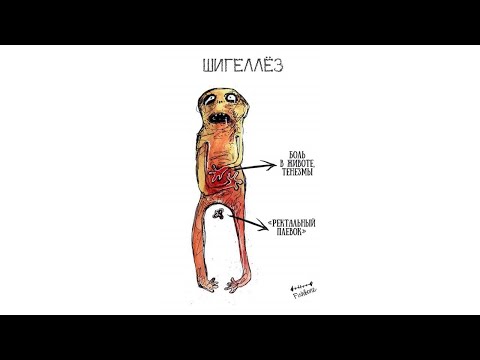 Видео: 03-11 Шигеллезы