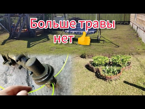 Видео: катушка паук для триммера .25 июня 2024 г.#shortvideo #sorts