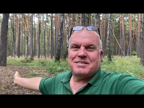Видео: Вот это да,просто неожиданно,два в одном! Полезное с приятным! Коп с металлоискателем X-TERRA Elite!