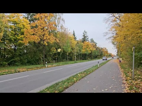 Видео: Жизнь в Германии. Туман, банановый пирог.