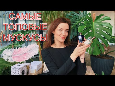 Видео: САМЫЕ ТОПОВЫЕ МУСКУСЫ МОЕЙ КОЛЛЕКЦИИ.TUTU BLANC,BYREDO, PURE EVE, MUSK KASHMIR