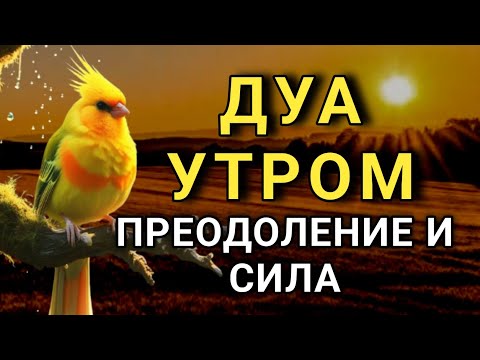 Видео: УТРЕННЕЕ ДУА ДЛЯ УСПЕХА И ПРЕОДОЛЕНИЯ! 💪🤲💯