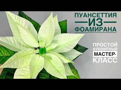 Видео: Мастер-класс ПУАНСЕТТИЯ или РОЖДЕСТВЕНСКАЯ ЗВЕЗДА ИЗ ФОАМИРАНА.