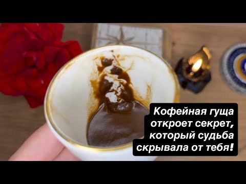 Видео: Кофейная гуща откроет СЕКРЕТ, который судьба скрывала от тебя!
