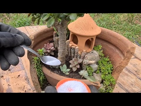 Видео: LINDA Idea с СЛОМАННОЙ ВАЗОЙ для посадки САКУЛЕНТОВ, Креативная ваза для мини-сада