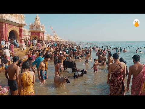 Видео: Рамешварам, Индия🇮🇳 Священный остров Южной Индии (4K HDR)