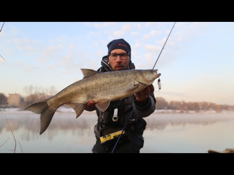 Видео: Рыбалка на жереха весной на Москве реке.