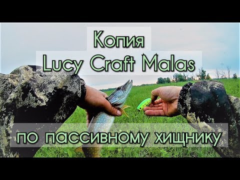 Видео: Копия Lucky Craft Malas по пассивному хищнику. Подповерхностный воблер. 11.06.17  Hunting for pike 5