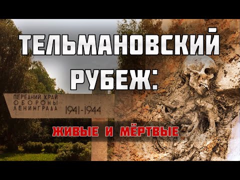 Видео: Два метра фекалий над солдатской могилой. Что происходит в поселке Тельмана???