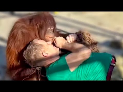 Видео: НЕВОЗМОЖНО! Дана сделала ИЗ СЕБЯ ПОДУШКУ, лишь бы Олегу Зубкову было удобно!