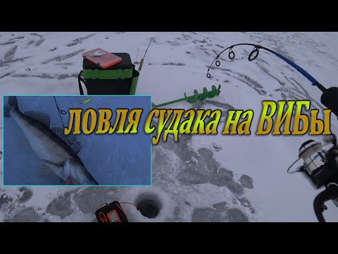 Видео: Ловля судака, на ВИБы, зимой! Как ловить судака с эхолотом - практик 6М! Рыбалка в конце декабря!