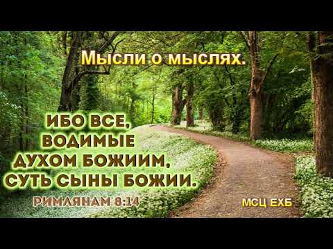 Видео: "Мысли о мыслях". М. Голубин. МСЦ ЕХБ,