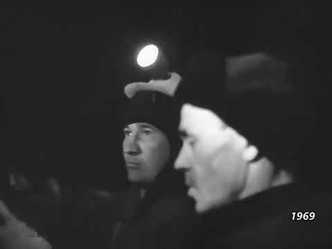 Видео: 1969 год  Лесозаготовка