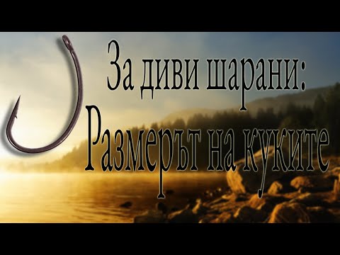 Видео: Риболов на шаран: Размерът на куките (2021)