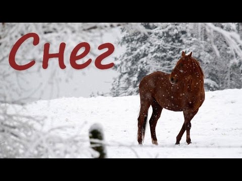 Видео: Минус песни "Снег".