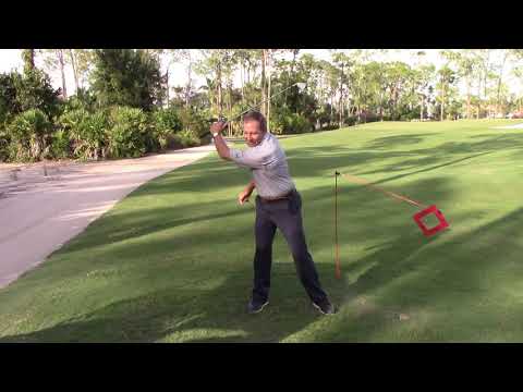 Видео: Ожидание — путь к большей власти