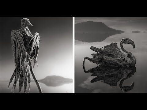 Видео: Бермудын гурвалжингаас ч илүү жихүүдэс хүргэм 10 газар / TUUH.MN