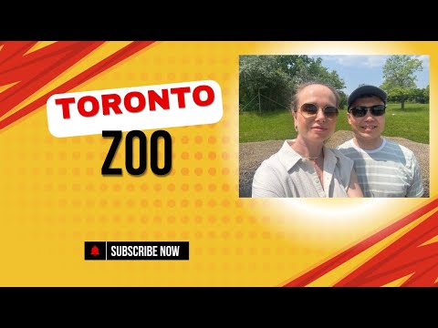 Видео: Toronto Zoo 2025. Поступление в канадский колледж.