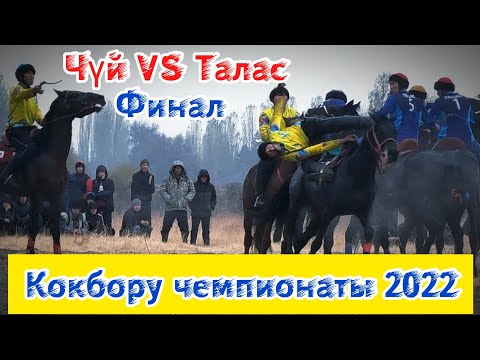 Видео: Чүй & Талас: Финал/ Кокбору чемпионаты 2022.