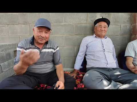 Видео: ИЛГЕРИ УЛАК КАНДАЙ БОЛГОН?