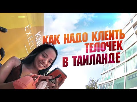 Видео: Знакомство с тайкой