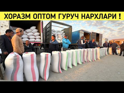 Видео: ХОРАЗМ ОПТОМ ГУРУЧ ЯНГИ НАРХЛАРИ 12-ОКТЯБР НАРХЛАР АРЗОНЛАДИ !!! ХОРАЗМ БОЗОР