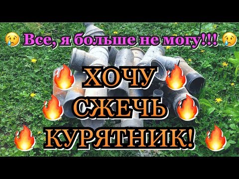 Видео: Клещи в курятнике 🦀 / Первые шаги решения 😷 / Проще сжечь курятник 🔥 / Куриный клещ 🕷