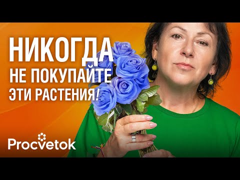 Видео: ТАКИХ ЦВЕТОВ НЕ СУЩЕСТВУЕТ! Посмотрите это видео и не тратьте деньги зря!