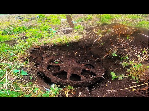 Видео: Огромный Каток #МЕТАЛЛОКОП в полях