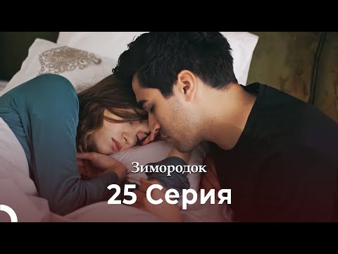 Видео: Зимородок 25 Cерия (Русский дубляж) (4K)
