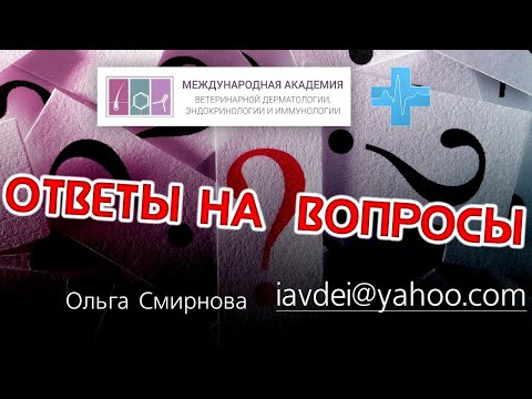 Видео: Ответы на вопросы