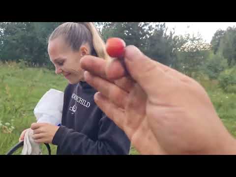 Видео: Живу ОДИН в деревне. ГОРОДСКАЯ ЖЕНА приехала на подмогу!