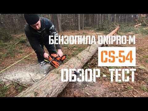 Видео: Бензопила Дніпро-М CS-54 - Реальный тест