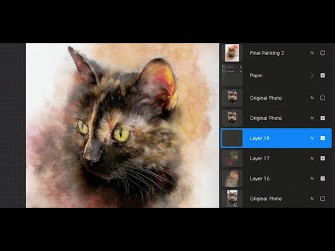 Видео: Учебное пособие Procreate: превратите фотографию кошки в акварельную картину