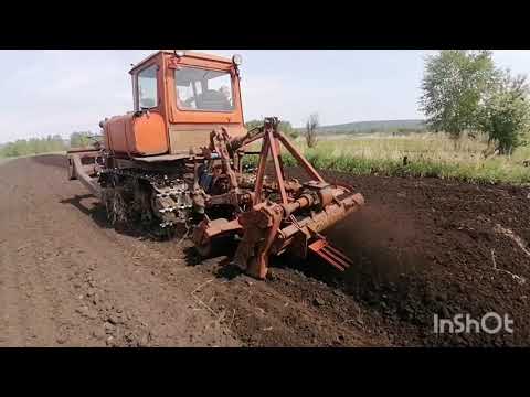 Видео: ДТ-75Н турбированный с болотной фрезой, участок под картошку