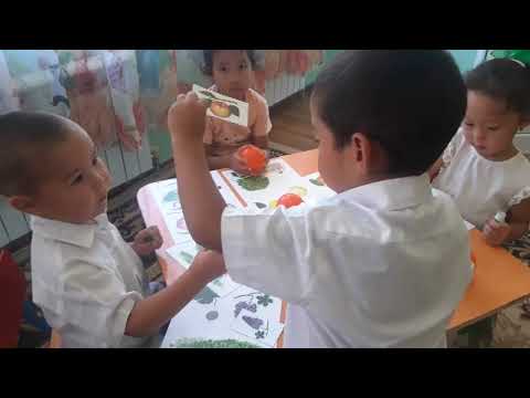 Видео: Көкөністер мен жемістер