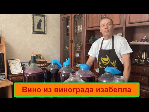 Видео: Вино из винограда изабелла