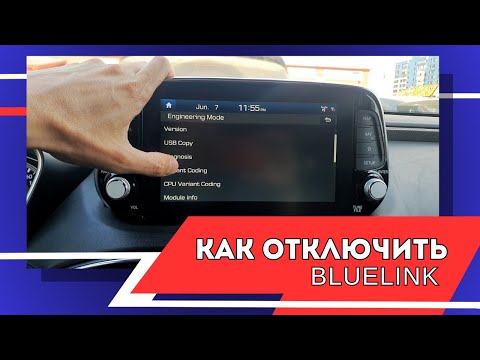 Видео: Как отключить BlueLink? Русификация Huindai SantaFe 2018г. из Кореи