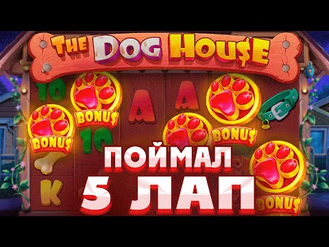 Видео: ПОЙМАЛ 5 ЛАП В СЛОТЕ THE DOG HOUSE MEGAWAYS/ ПОЙМАЛ ОГРОМНУЮ ПОЛЯНУ БУДОК И СЛОВИЛ МЕГАЗАНОС!!!