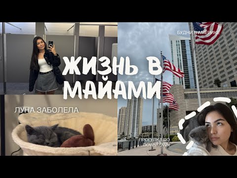 Видео: VLOG: ЖИЗНЬ В АМЕРИКЕ \\  Луна заболела |показываю колледж, ПРОГУЛКА ПО МАЙАМИ #жизньвмайами 