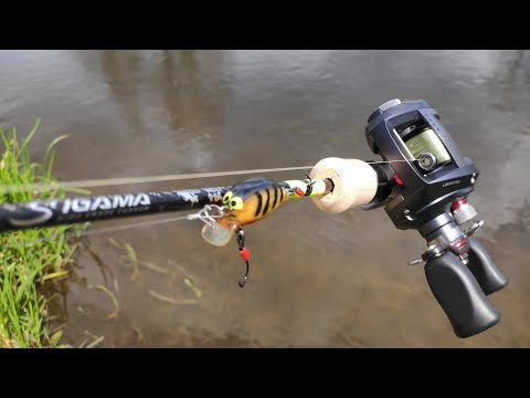Видео: Lurestar SIGAMA C492UL обзор тест и сравнение с ROCK N ROLL 512C катушка Daiwa Pixy PX68L