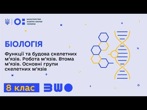 Видео: 8 клас. Біологія. Функції та будова скелетних м’язів. Робота м’язів. Втома м’язів